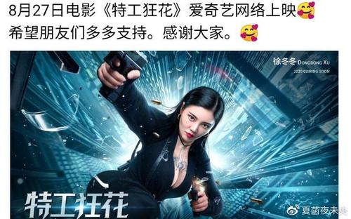 购买假的法国驾照